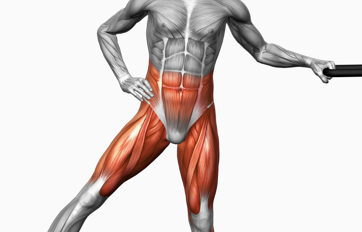 Thigh adductors sale